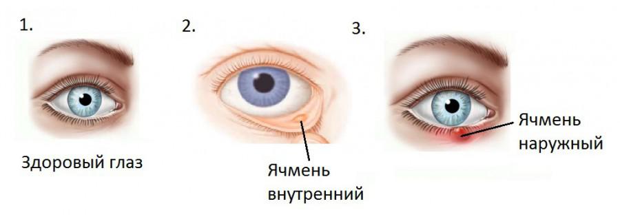 231.jpg 231.jpg
